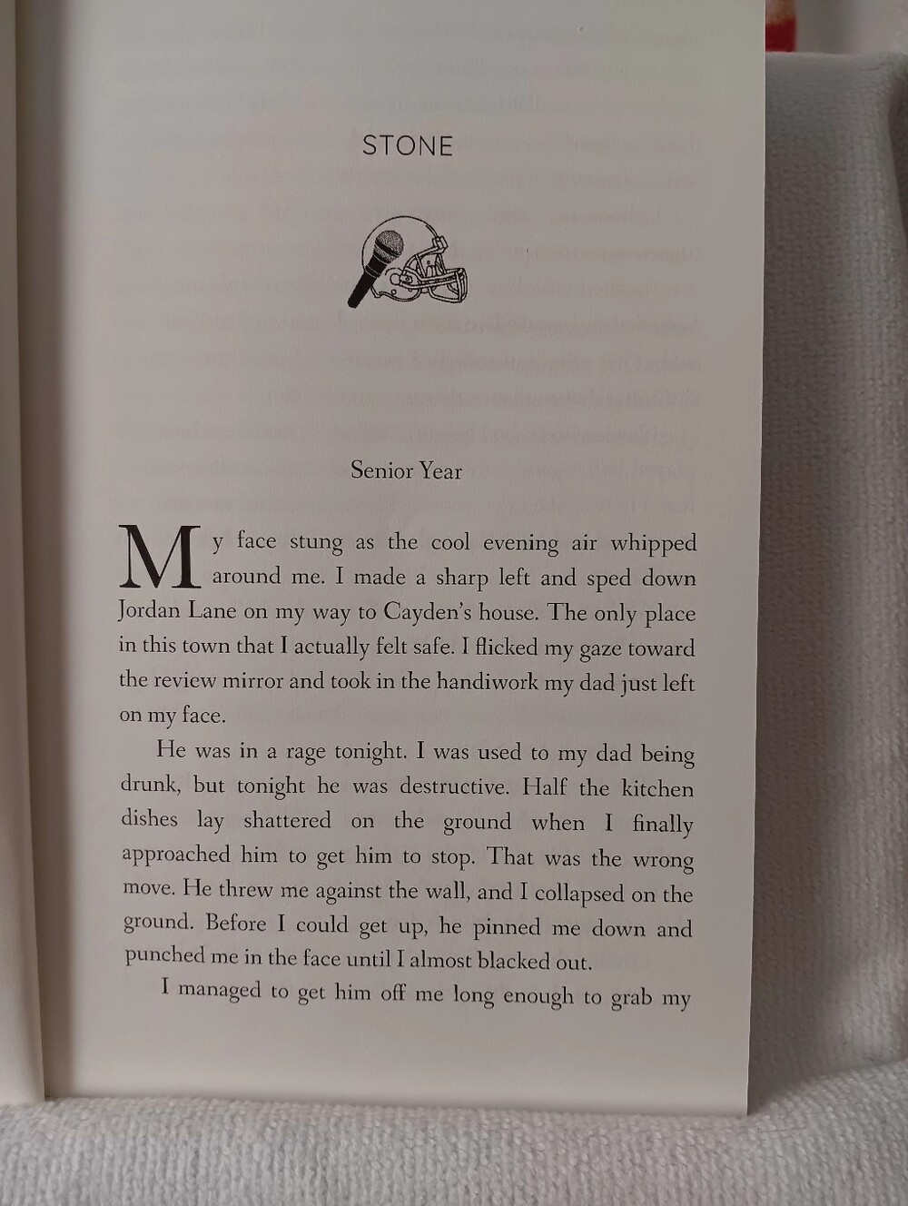Book: Lucky Charm - Picture 5 of 12